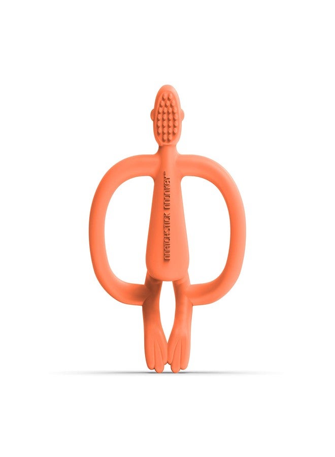 ماتشستيك مونكي قرد أعواد الثقاب، قرد عضاضة برتقالية - Image 2